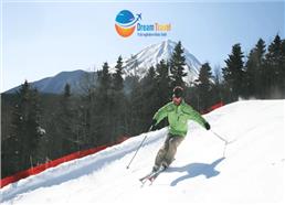 Tour Nhật Bản Hành Trình Vàng Đón Năm Mới 2026